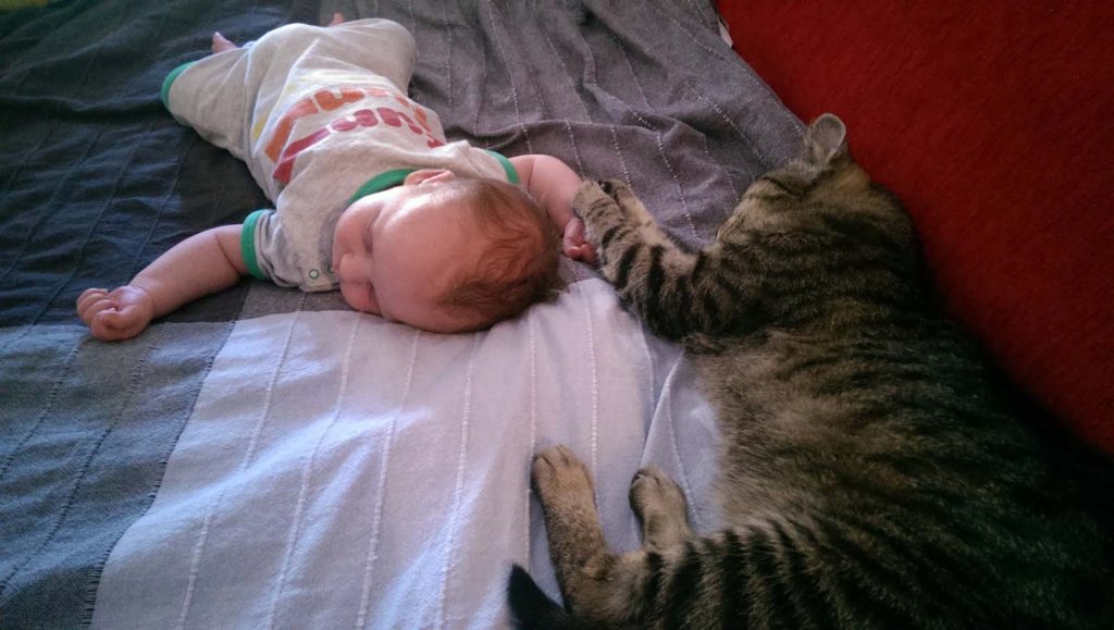 Cat sleeping with baby